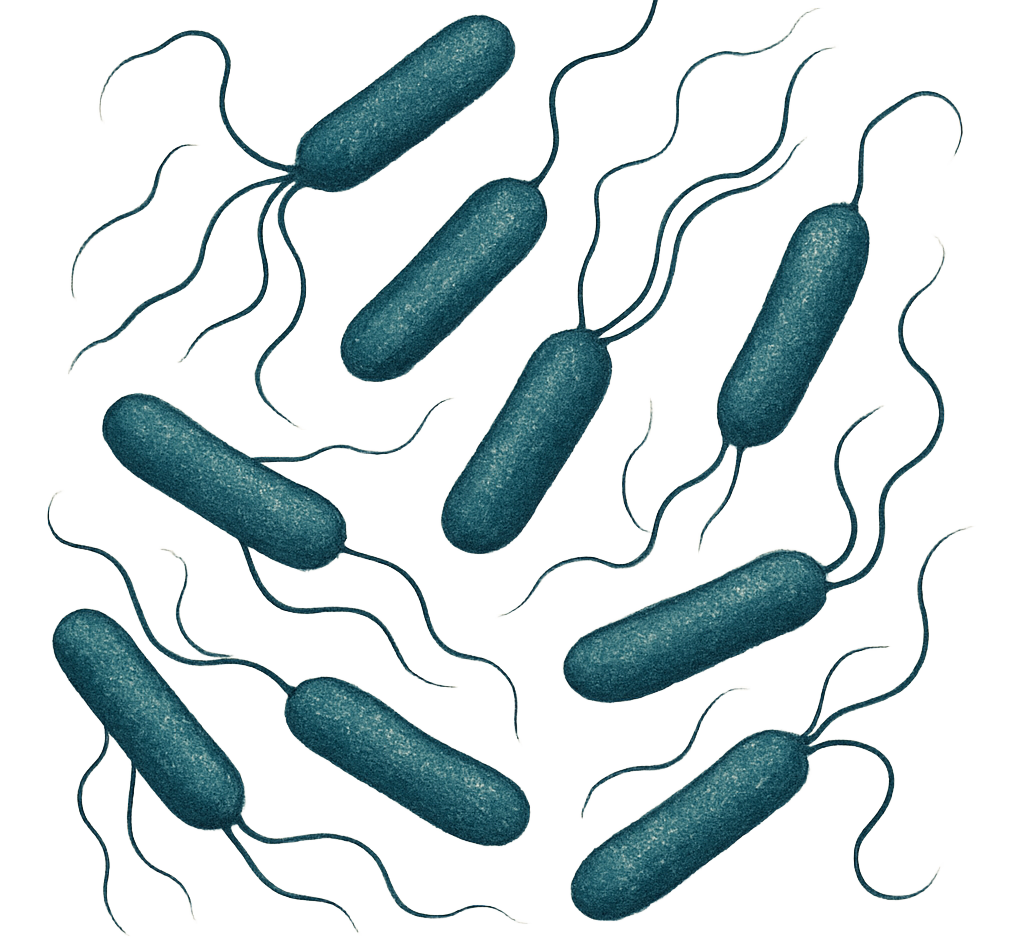 Hydrating fluid for Pseudomonas - 2.0 ml