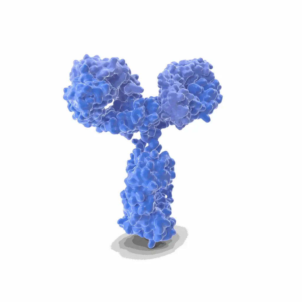 Gentaur CY 7 Antibody