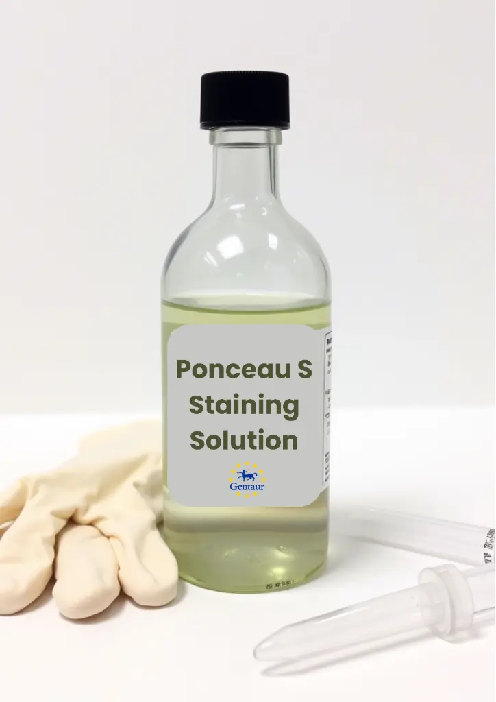  Ponceau S Proteinfärgningslösning